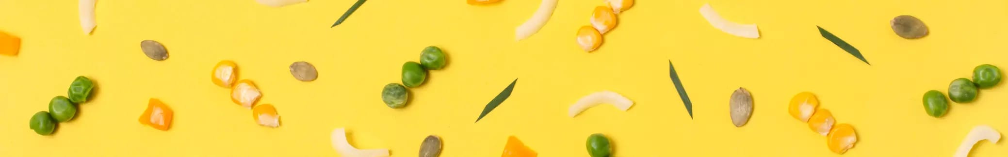 Kalte und warme Vorspeisen placeholder